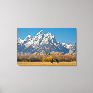 Pferd und Grand Tetons, Moose Head Ranch Leinwanddruck