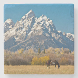 Pferd und Grand Tetons, Moose Head Ranch Steinuntersetzer