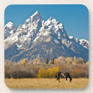 Pferd und Grand Tetons, Moose Head Ranch Untersetzer