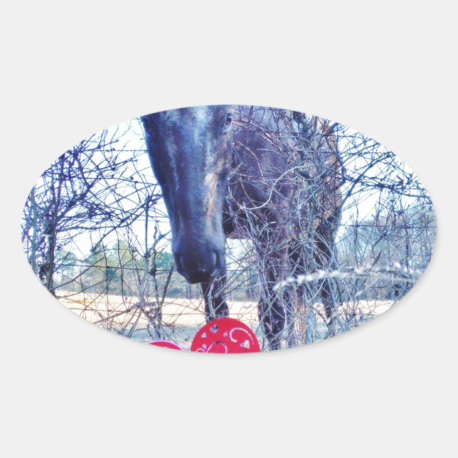 Pferd und Herz Ovaler Aufkleber (Vorderseite)