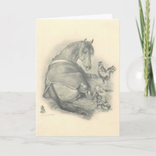Pferd und Hühner, Weihnachten