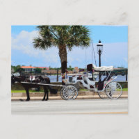 Pferd und Kutsche St. Augustine, Fl.