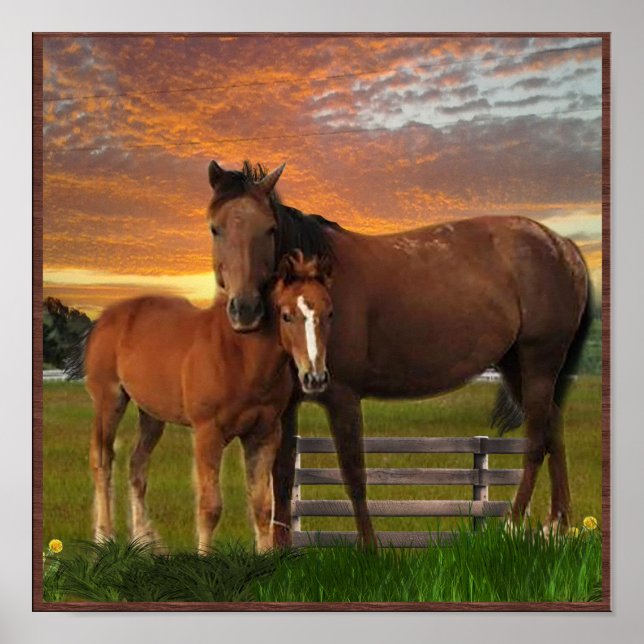Pferd- und Poney-Plakat Poster (Vorne)