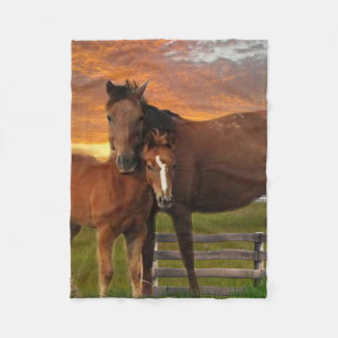 Pferd und Pony Fleecedecke