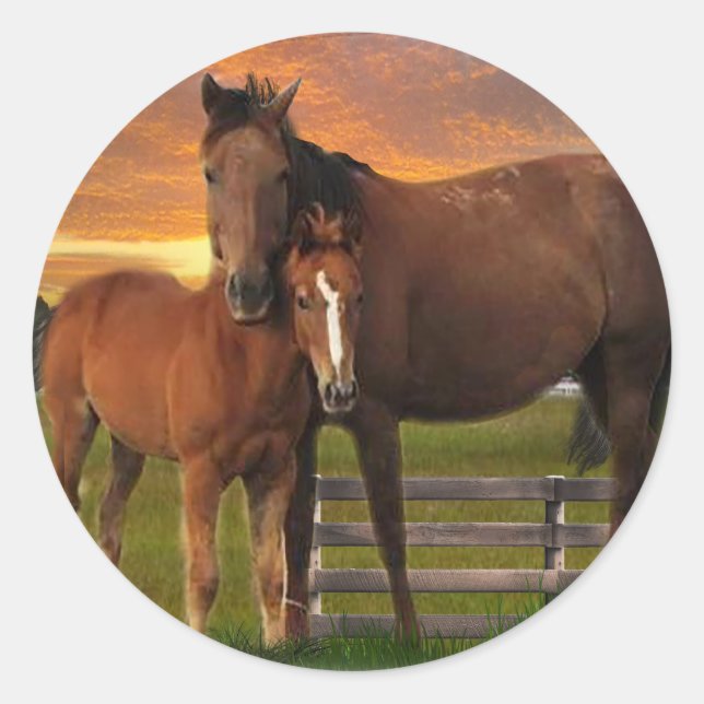 Pferd und Pony Runder Aufkleber (Vorderseite)