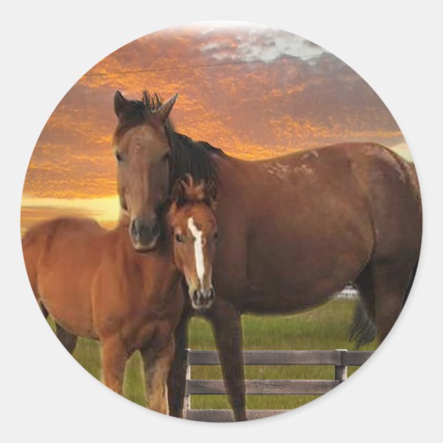 Pferd und Pony Runder Aufkleber (Vorderseite)