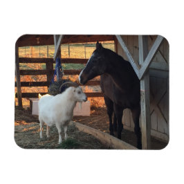 Pferd und Ziege auf dem Bauernmagnet Magnet