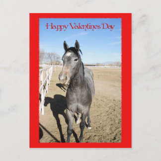 Pferd Valentine Feiertagspostkarte