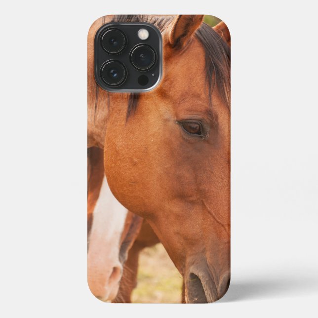 Pferd verstecken sich hinter Pferd iPhone Hülle (Rückseite)