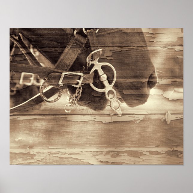 Pferd Vintager Western Sepia Rustikales Landwald Poster (Vorne)