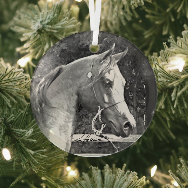 Pferd von Hevener Ornament Aus Glas (InSitu)