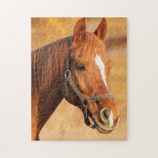 Pferd vor Ort Puzzle