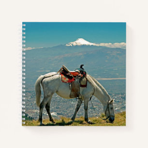 Pferd & Vulkan, Quito, Ecuador Notizbuch