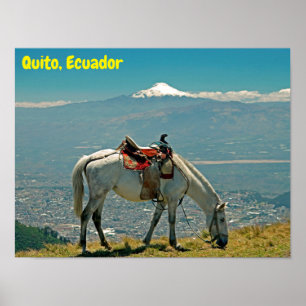 Pferd & Vulkan, Quito, Ecuador Poster