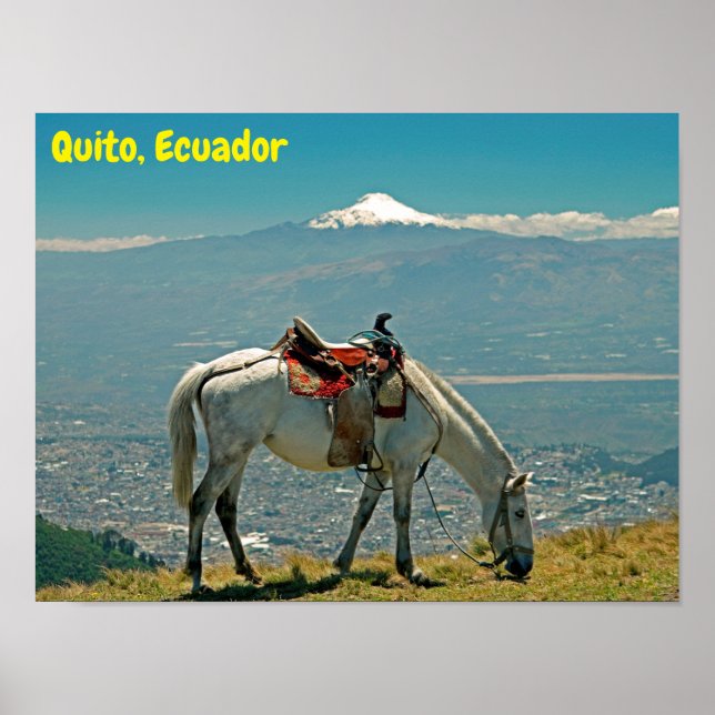 Pferd & Vulkan, Quito, Ecuador Poster (Vorne)