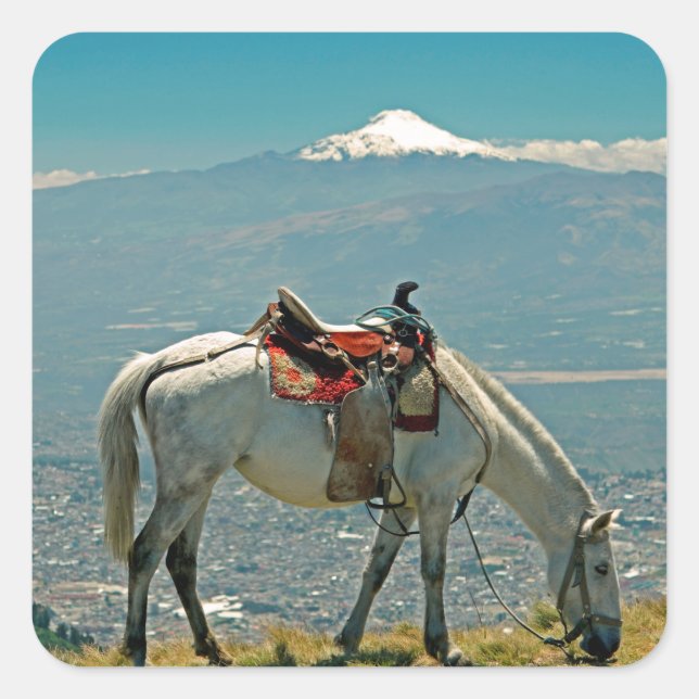 Pferd & Vulkan, Quito, Ecuador Quadratischer Aufkleber (Vorderseite)