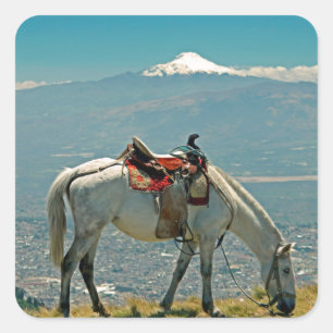 Pferd & Vulkan, Quito, Ecuador Quadratischer Aufkleber