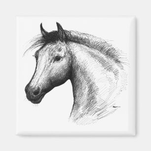 Pferd: Weiß Magnet