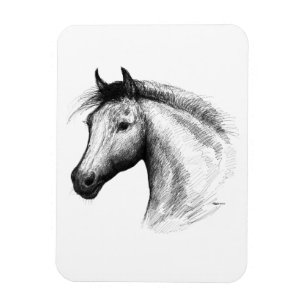 Pferd: Weiß Magnet