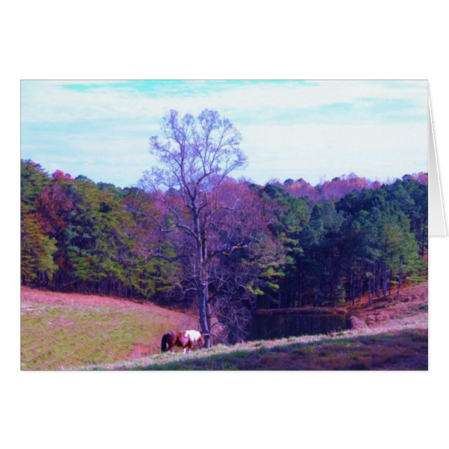 Pferd weit weg in einem Lila Feld (Vorderseite (Horizontal))