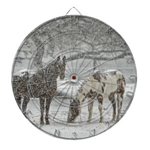 Pferd Winter Schnee Bauernhof Ranch Tiere schneebe Dartscheibe