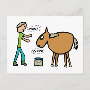 Pferd zum Wasser Postkarte