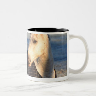 Pferd Zweifarbige Tasse
