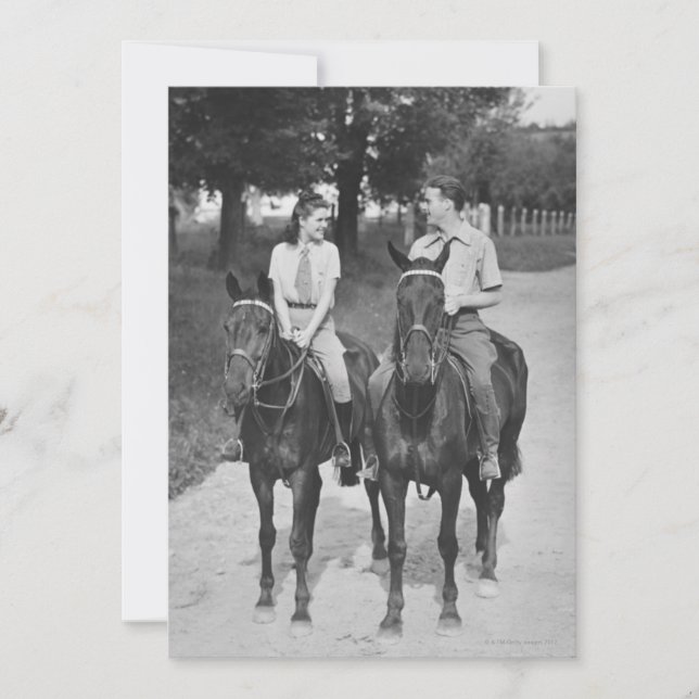 Pferde (Vorderseite)