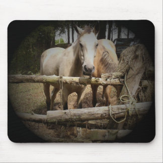 PFERDE 1 Mousepad