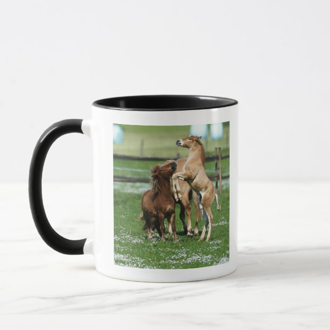 Pferde 3 tasse (Links)