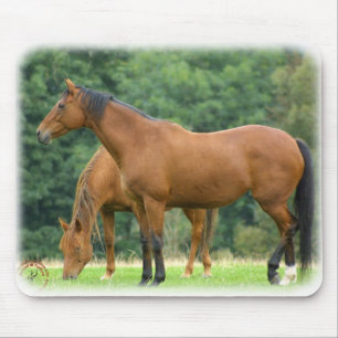 Pferde 9A81D-10 Mousepad