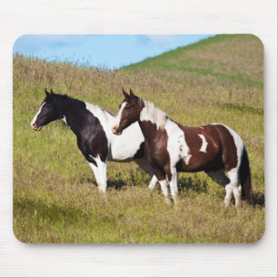 Pferde am Hang Mousepad