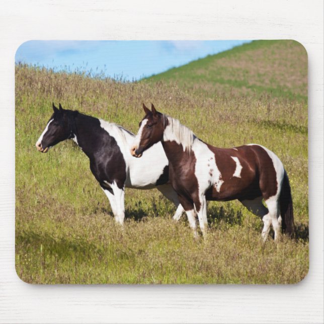 Pferde am Hang Mousepad (Vorne)