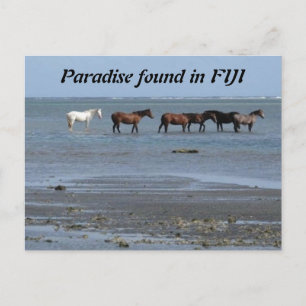 Pferde am Strand in Fidschi Postkarte