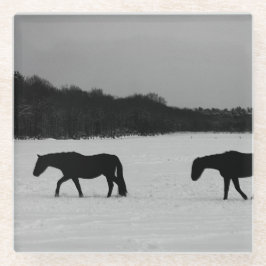 Pferde an der Schneeküste Glasuntersetzer