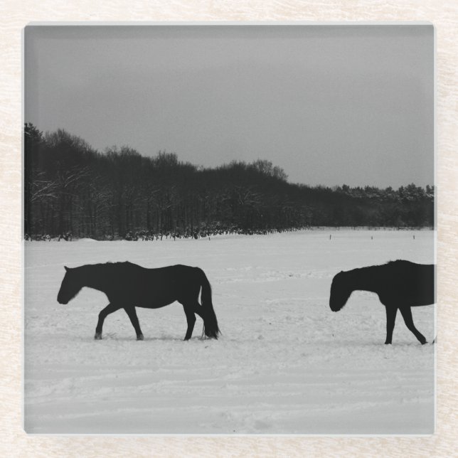 Pferde an der Schneeküste Glasuntersetzer (Vorderseite)