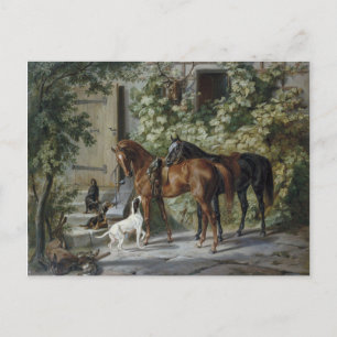 Pferde an der Veranda (von Albrecht Adam) Postkarte