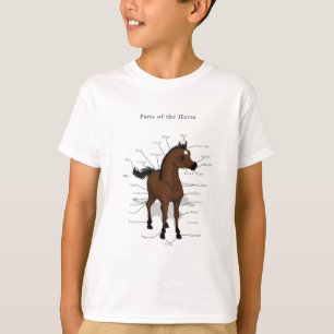 Pferde-Anatomie-Chart auf Bay Foal mit Star T-Shirt