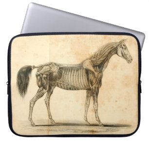 Pferde-Anatomie-Laptop-Hülle Laptopschutzhülle