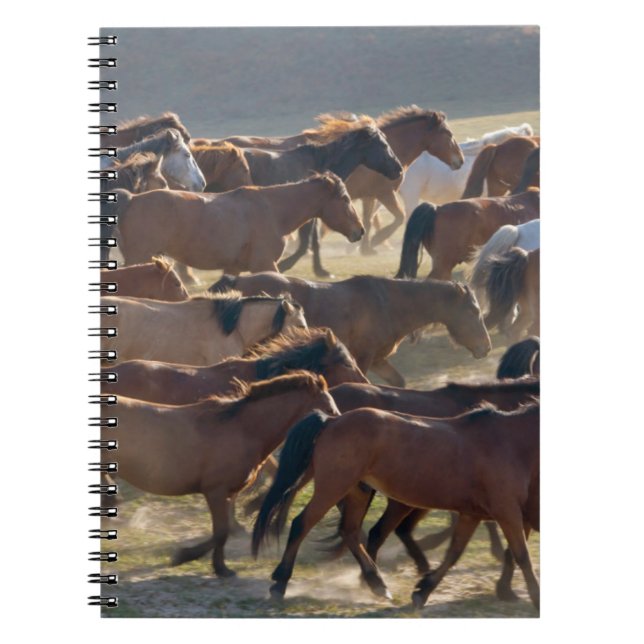 Pferde auf der Ranch, Innere Mongolei, China Notizblock (Vorderseite)