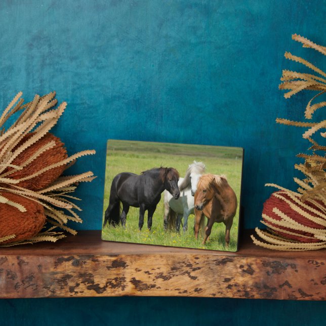 Pferde auf der Ranch, Südisland Fotoplatte (Seite)