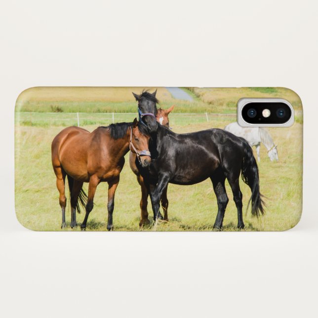 Pferde auf der Weide 003 Case-Mate iPhone Hülle (Rückseite (Horizontal))