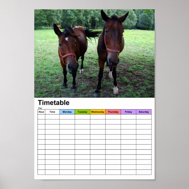 Pferde auf der Weide / Zeitplan Poster (Vorne)