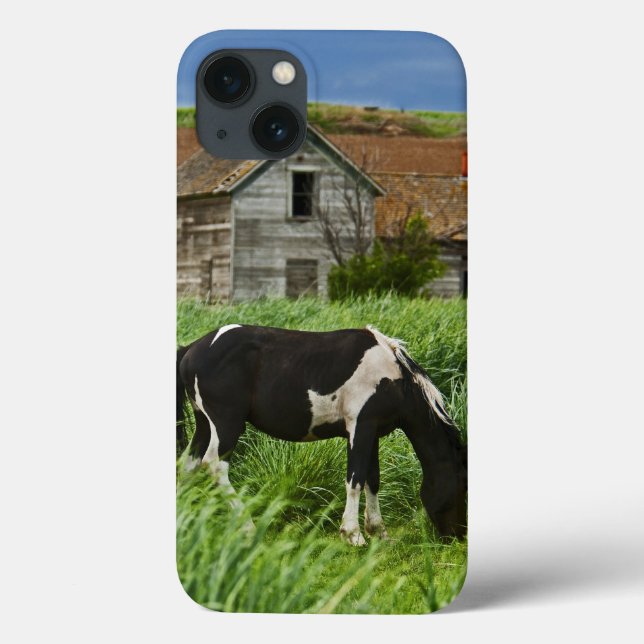 Pferde auf einem Feld im Palouse 2 Case-Mate iPhone Hülle (Rückseite)