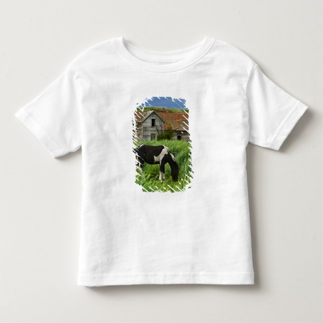 Pferde auf einem Feld im Palouse 2 Kleinkind T-shirt (Vorderseite)