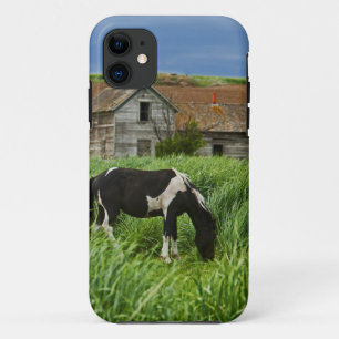 Pferde auf einem Feld in der Palouse 2 betrachten Case-Mate iPhone Hülle