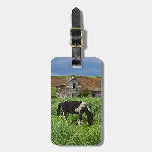 Pferde auf einem Feld in der Palouse 2 Gepäckanhänger