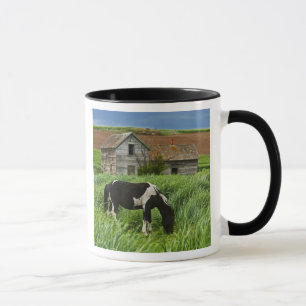 Pferde auf einem Feld in der Palouse 2 Tasse