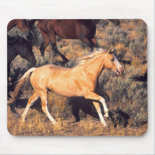 Pferde auf einer Ponderosa-Ranch Mousepad