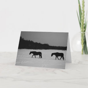 Pferde auf Schnee GCCNA Karte